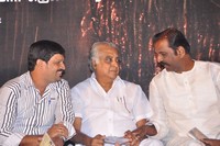 Yamuna Movie Audio Launch Gallery
